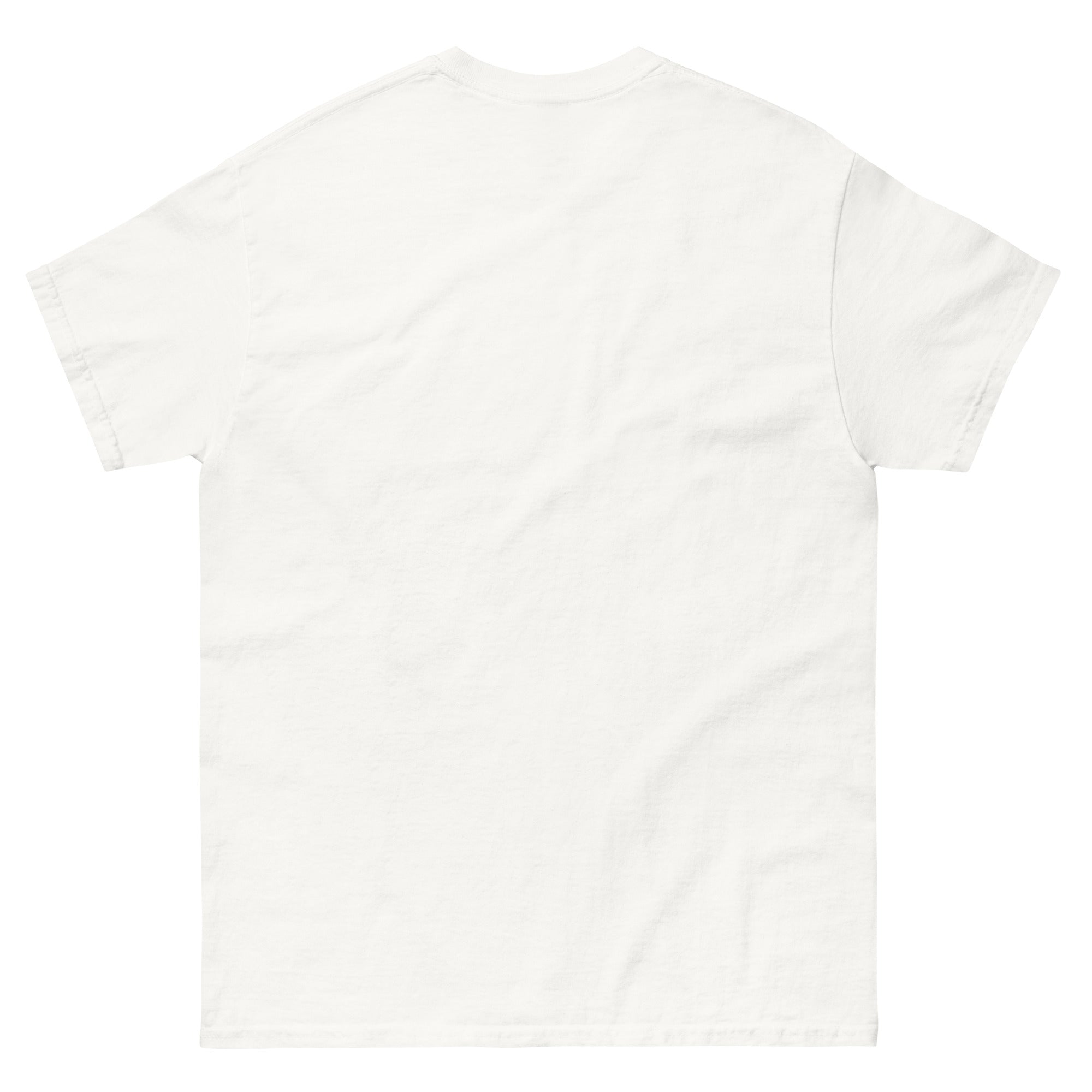 She Said She Likes Missionary T-Shirt | Funny Mormon Joke Meme Tee